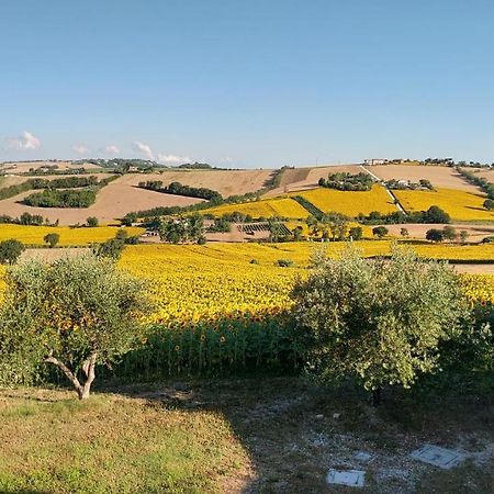 Agriturismo Vallelunga 安科纳 外观 照片
