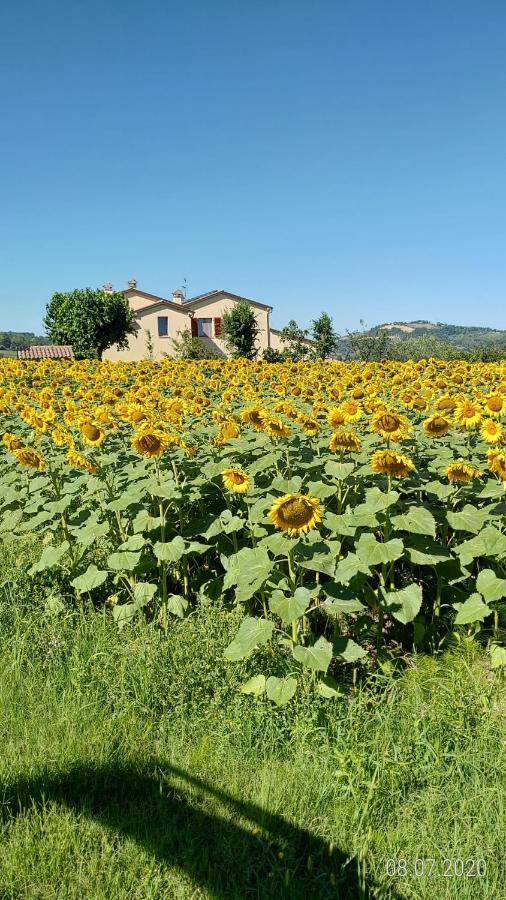 Agriturismo Vallelunga 安科纳 外观 照片